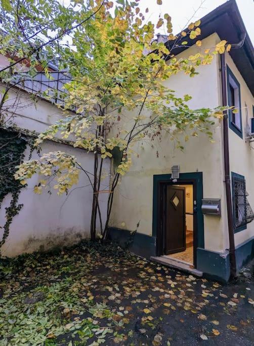 Maisonette Balcesco Brašov Exteriér fotografie